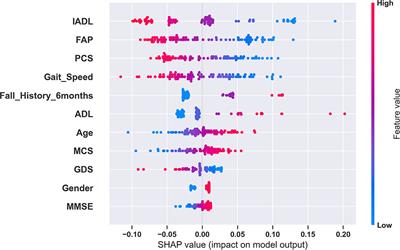 Explainable Fall Risk Prediction in Older Adults Using Gait and Geriatric Assessments